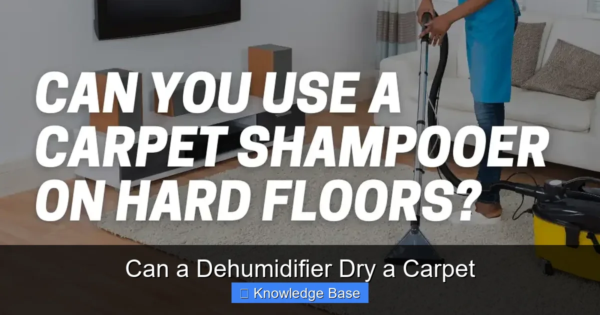 Can a Dehumidifier Dry a Carpet