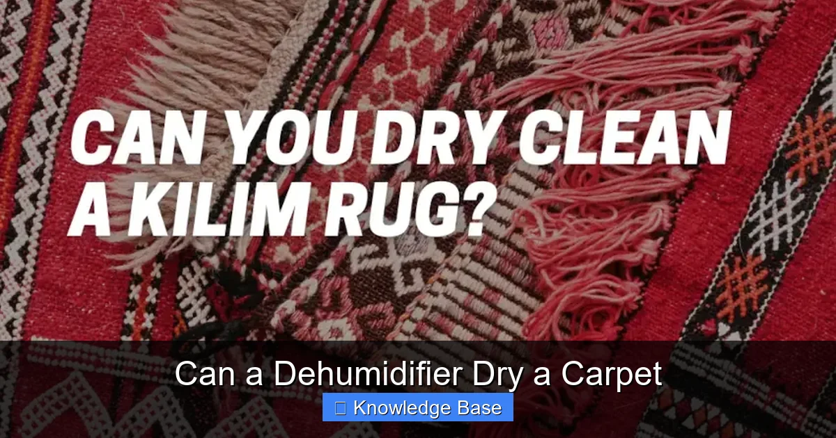 Can a Dehumidifier Dry a Carpet