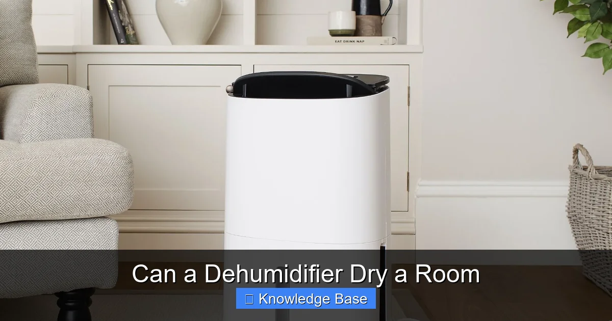 Can a Dehumidifier Dry a Room