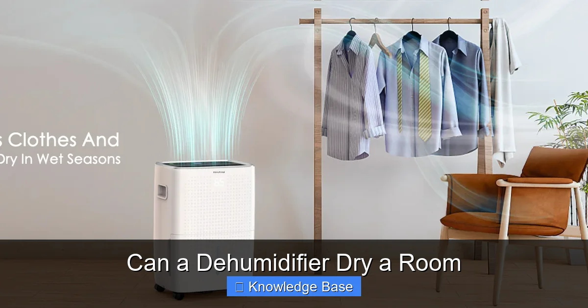 Can a Dehumidifier Dry a Room