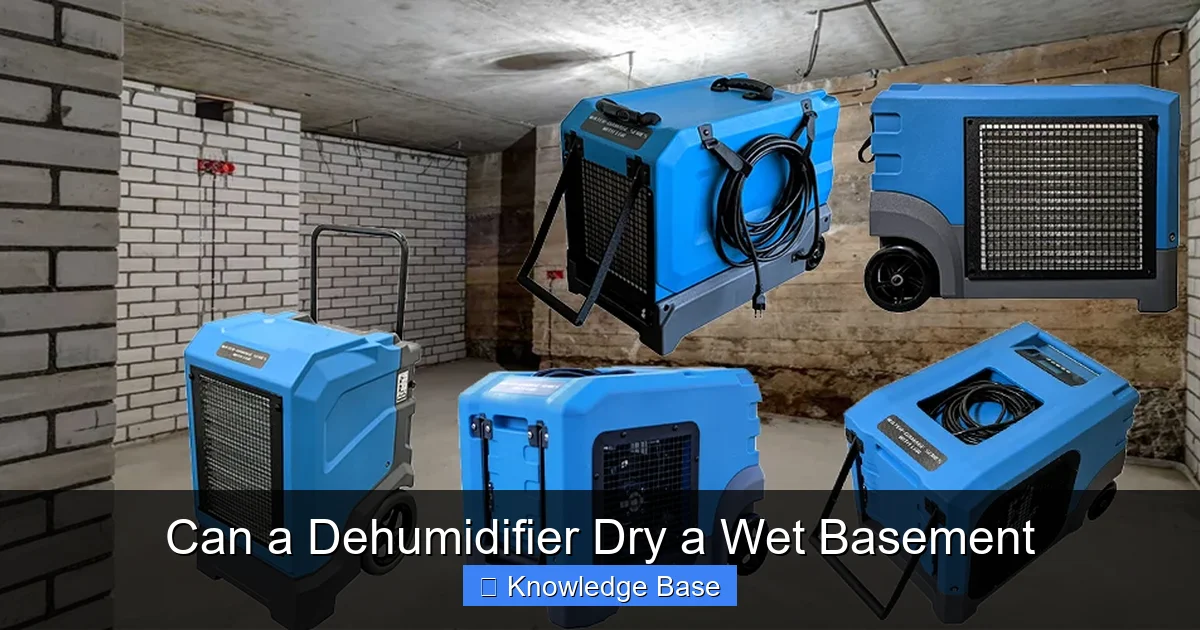 Can a Dehumidifier Dry a Wet Basement