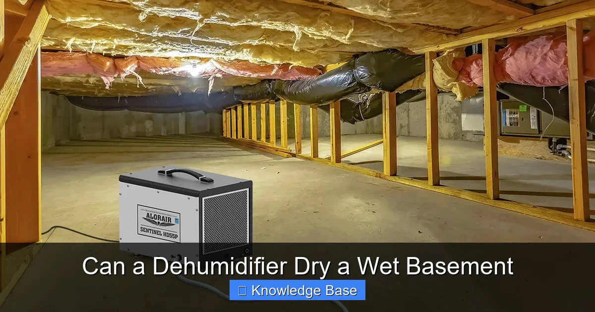 Can a Dehumidifier Dry a Wet Basement
