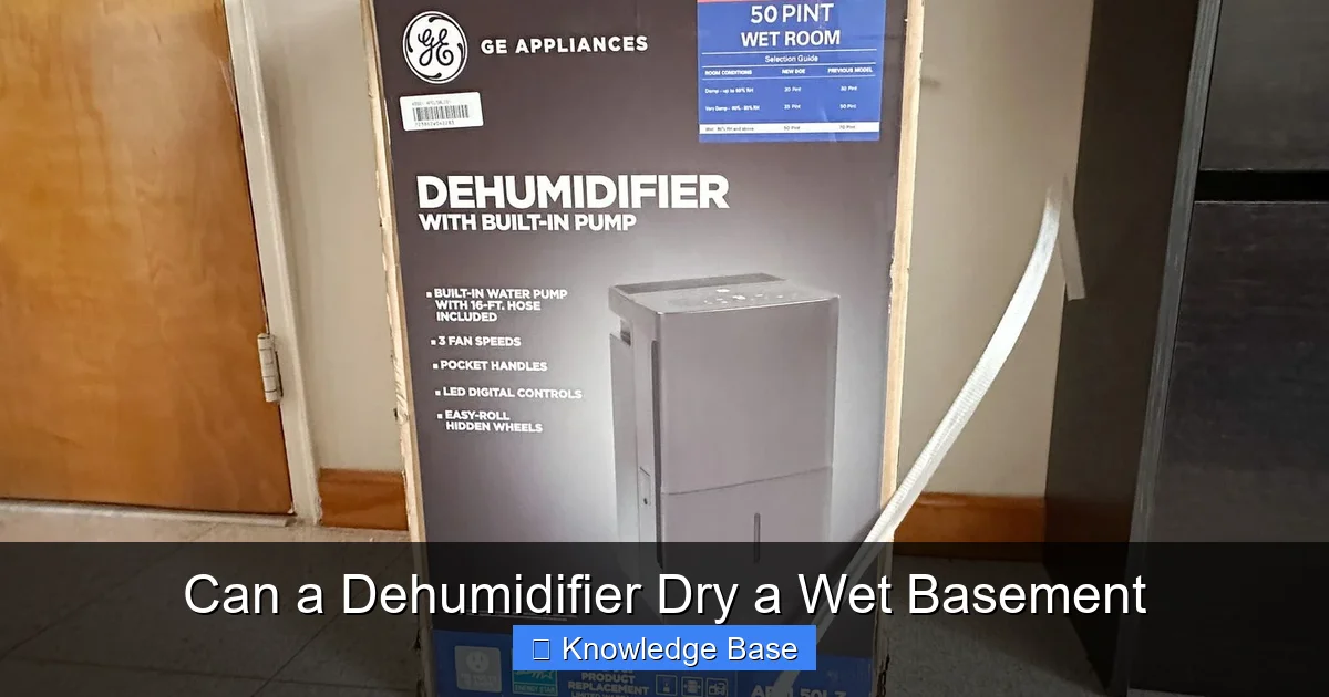 Can a Dehumidifier Dry a Wet Basement