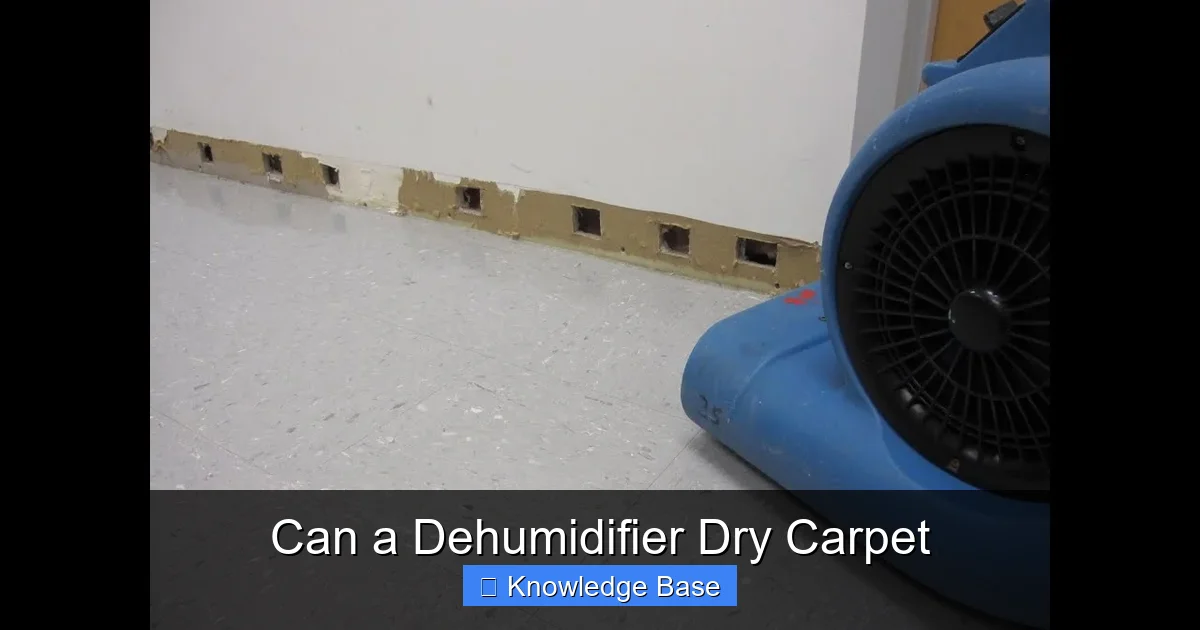 Can a Dehumidifier Dry Carpet