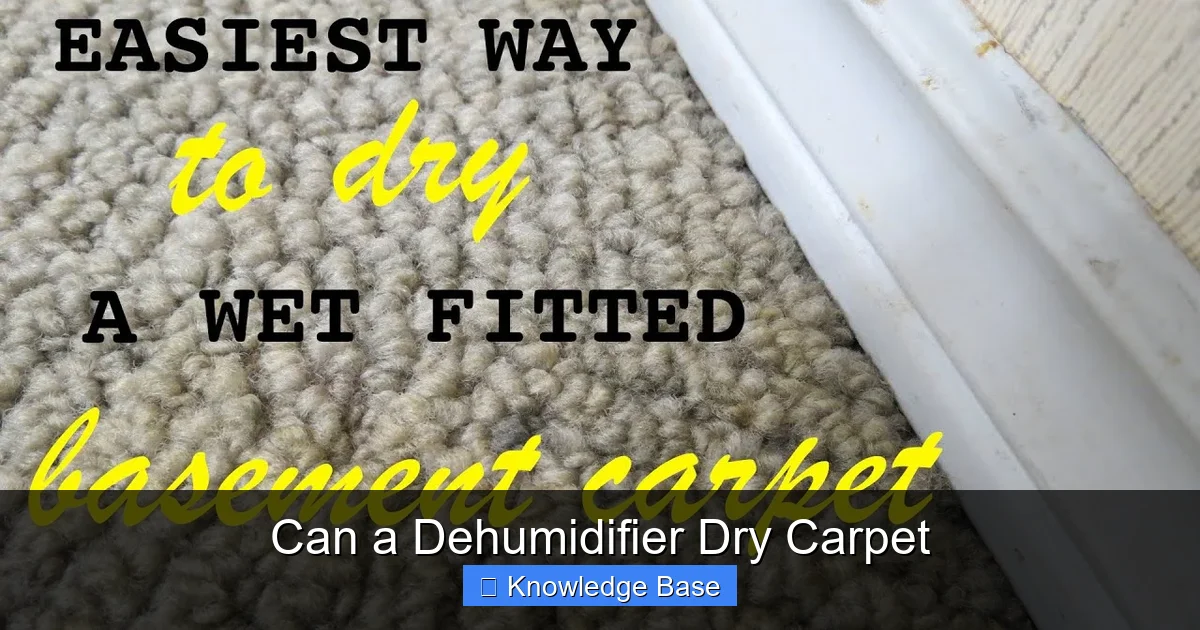 Can a Dehumidifier Dry Carpet