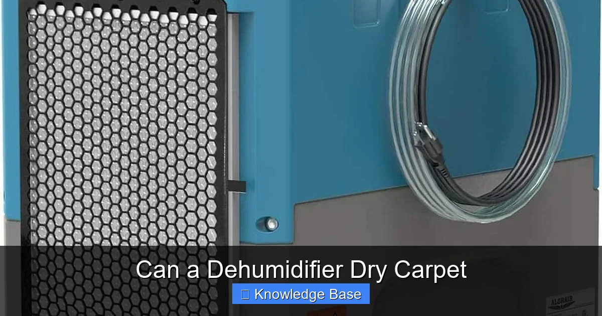 Can a Dehumidifier Dry Carpet