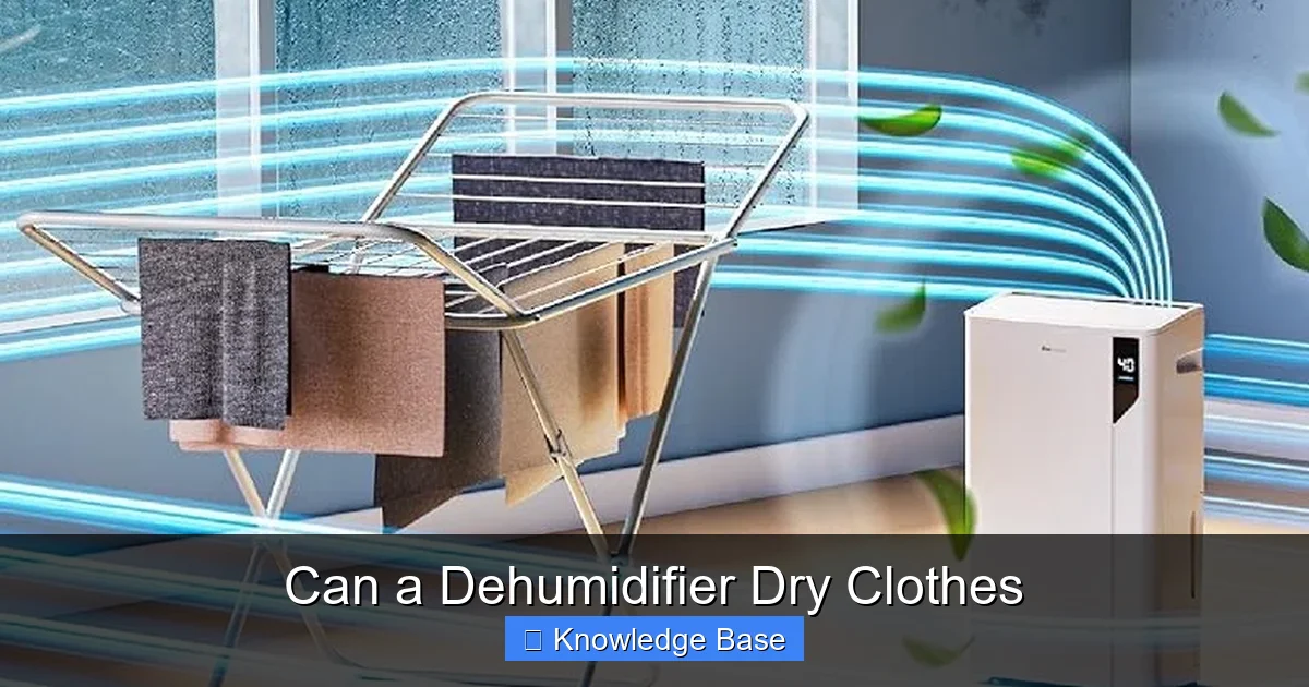 Can a Dehumidifier Dry Clothes