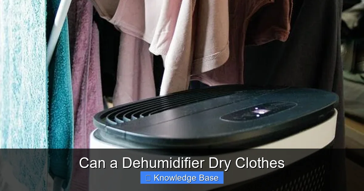Can a Dehumidifier Dry Clothes
