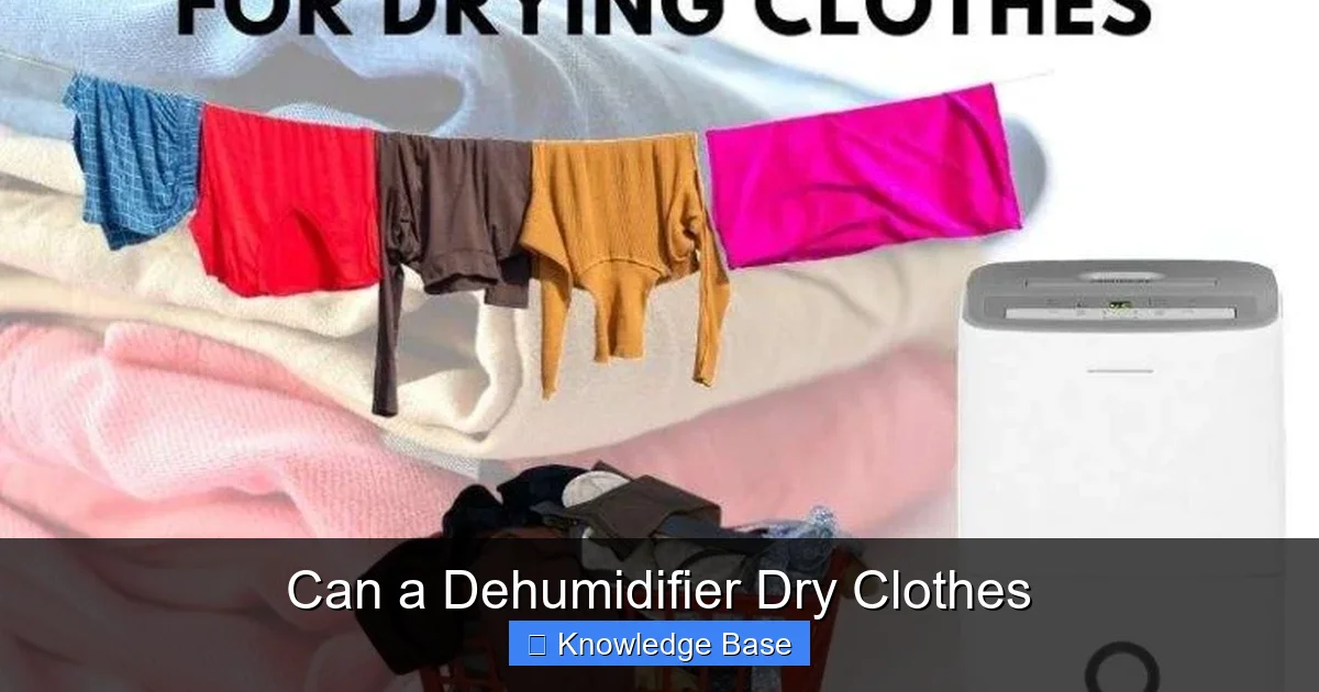 Can a Dehumidifier Dry Clothes