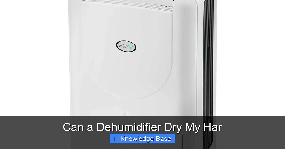 Can a Dehumidifier Dry My Har
