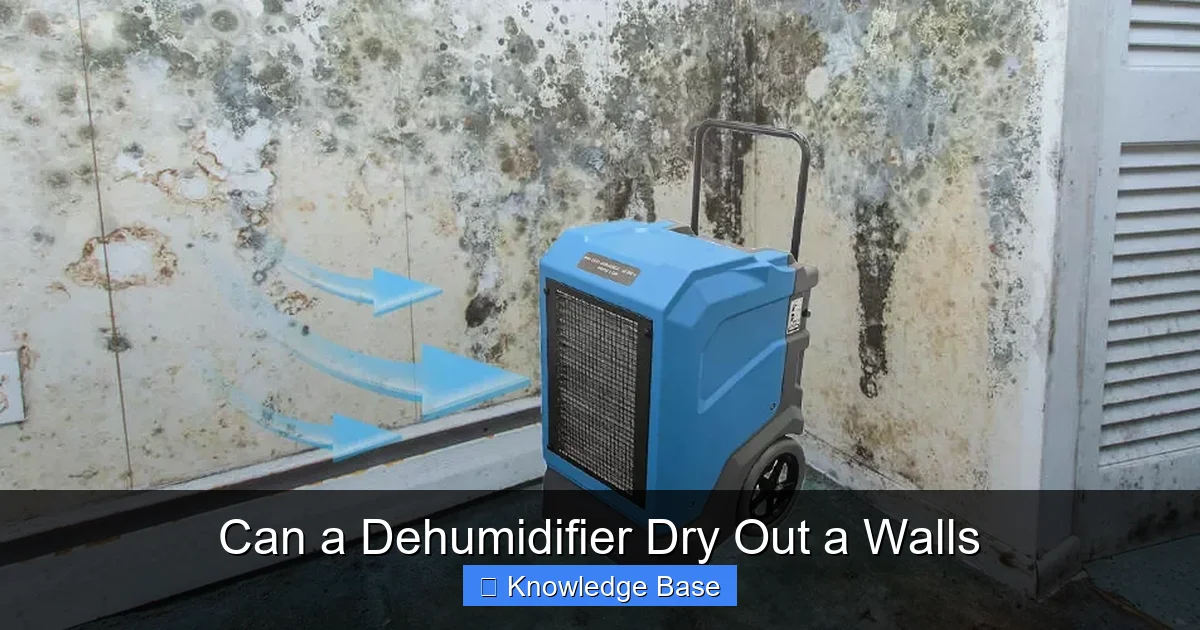 Can a Dehumidifier Dry Out a Walls