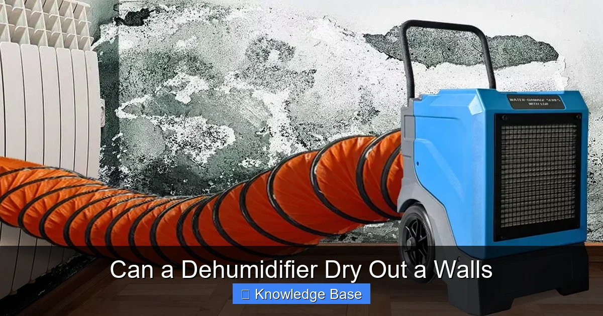 Can a Dehumidifier Dry Out a Walls