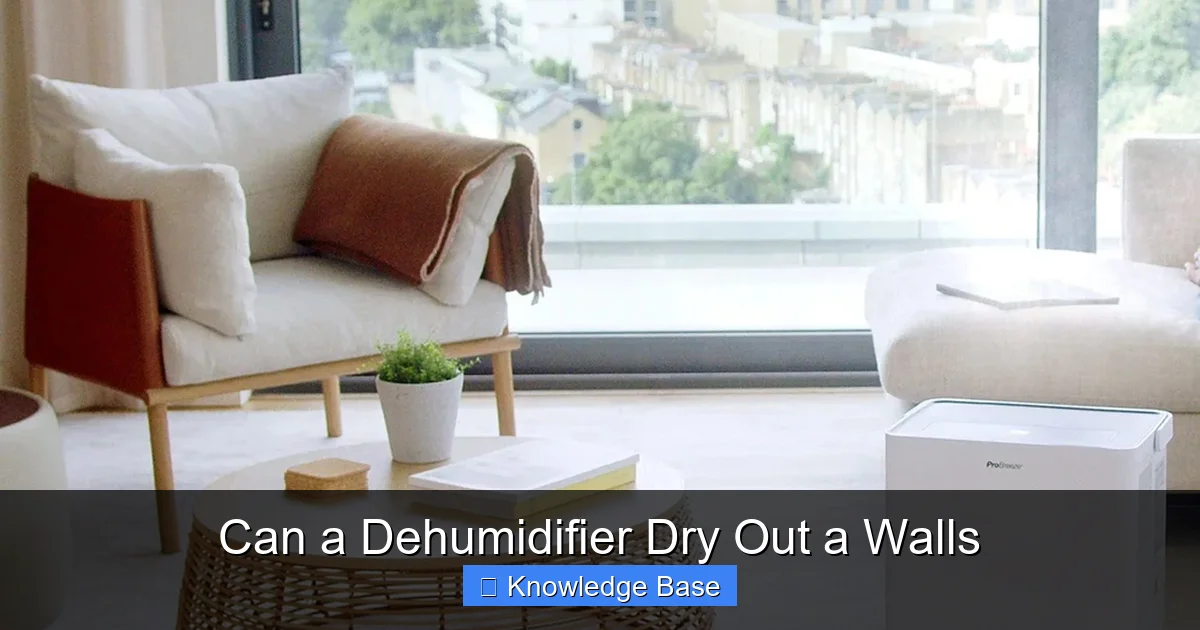 Can a Dehumidifier Dry Out a Walls
