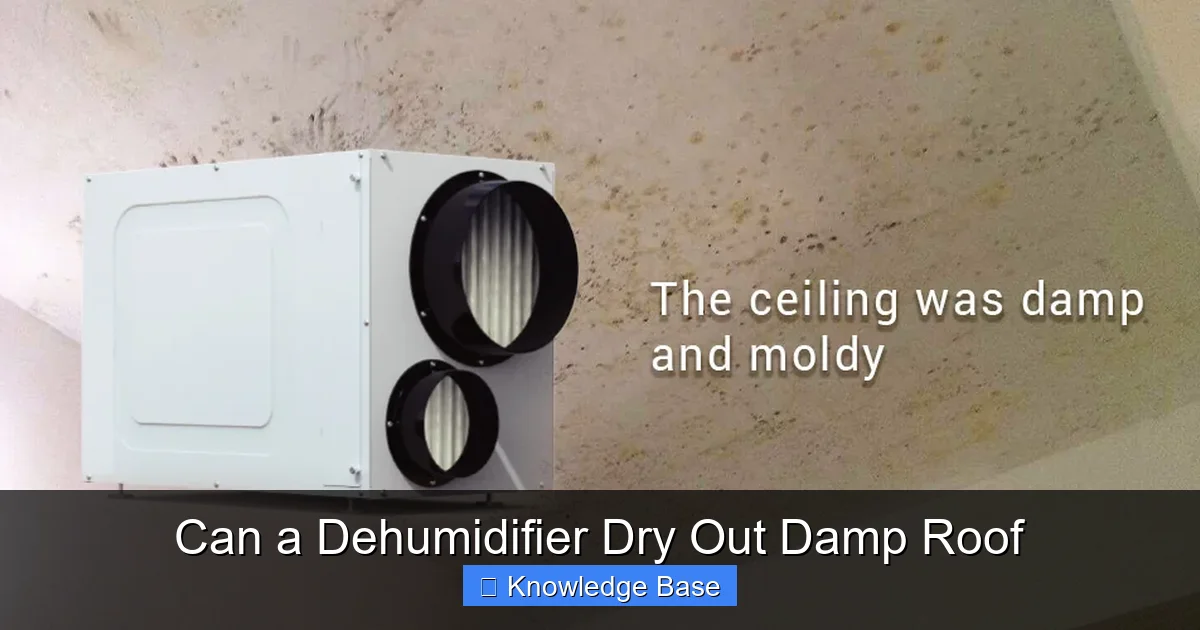 Can a Dehumidifier Dry Out Damp Roof
