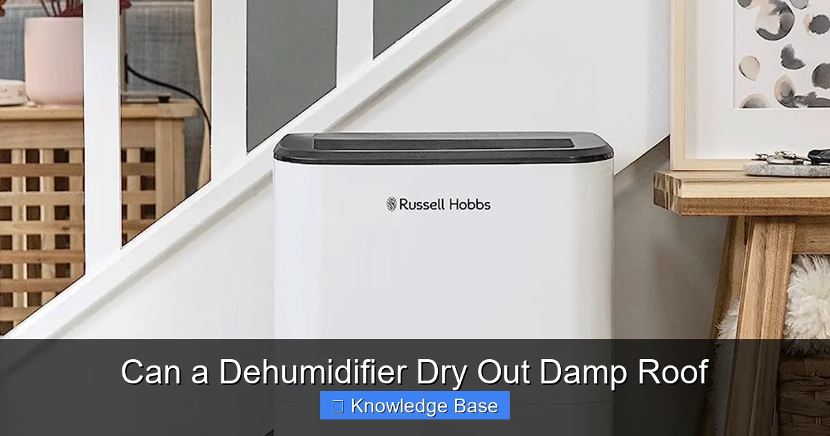 Can a Dehumidifier Dry Out Damp Roof