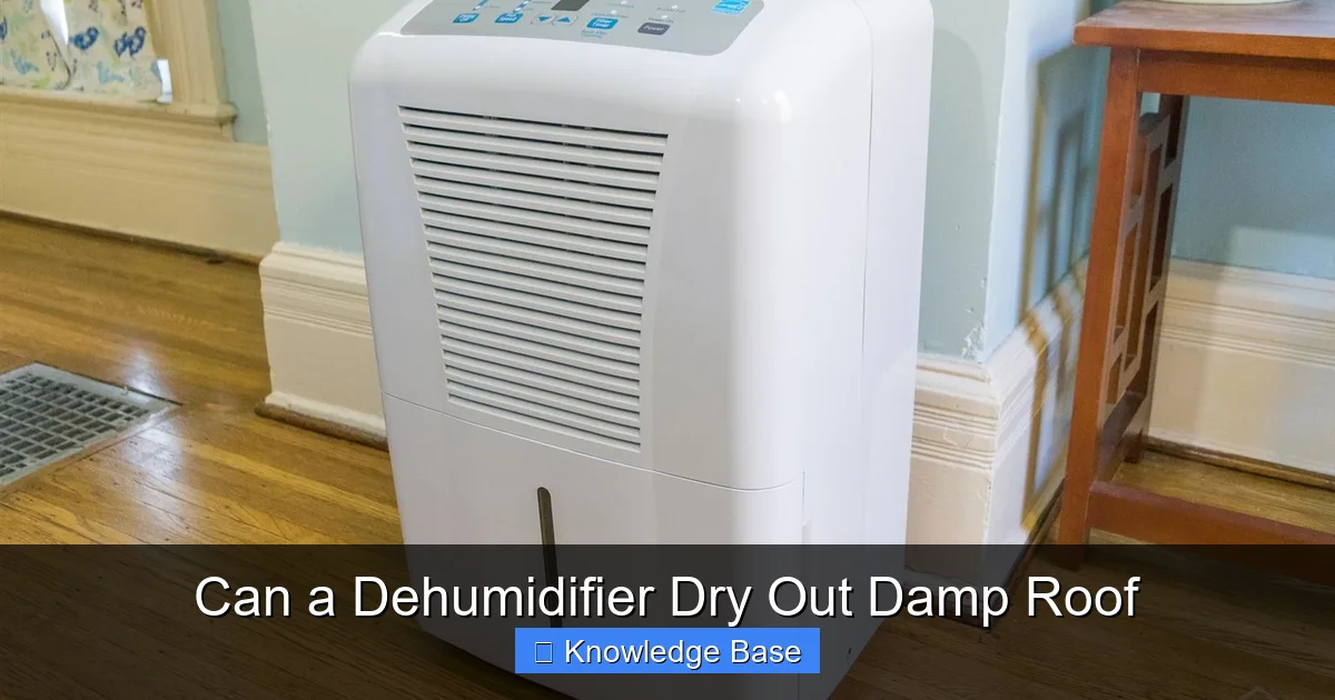 Can a Dehumidifier Dry Out Damp Roof