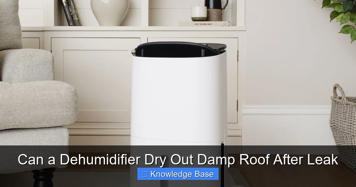 Can a Dehumidifier Dry Out Damp Roof After Leak