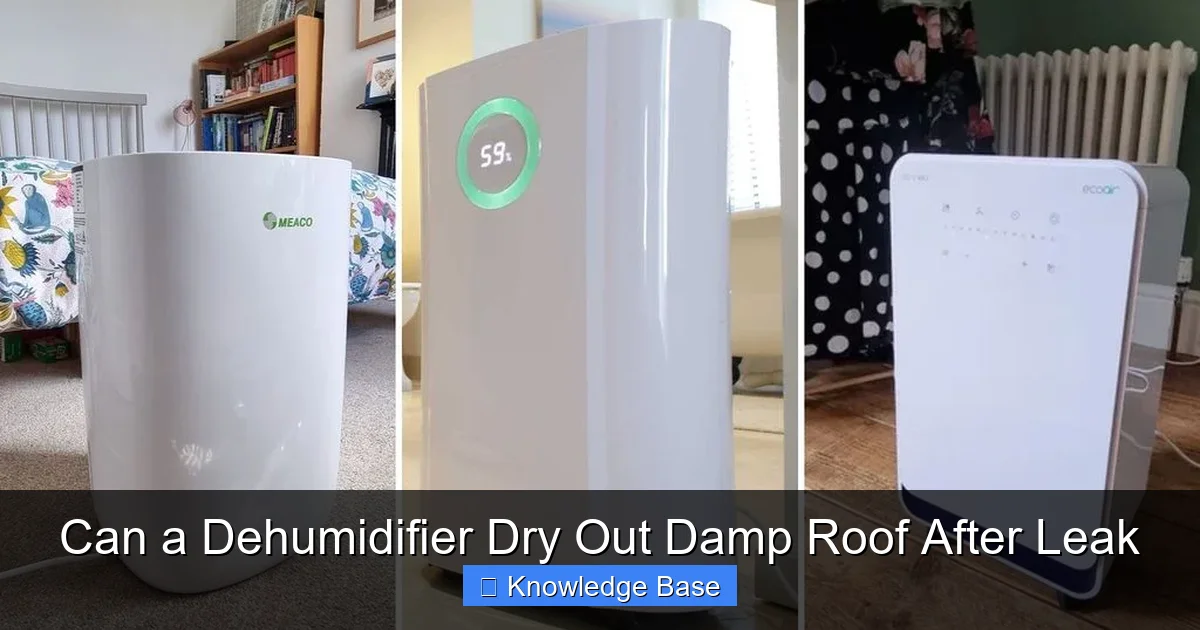 Can a Dehumidifier Dry Out Damp Roof After Leak