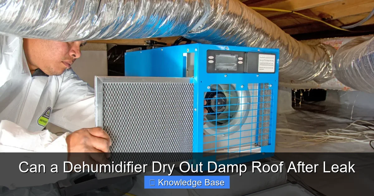 Can a Dehumidifier Dry Out Damp Roof After Leak