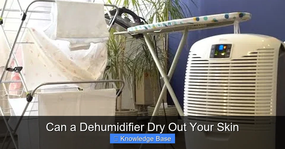 Can a Dehumidifier Dry Out Your Skin