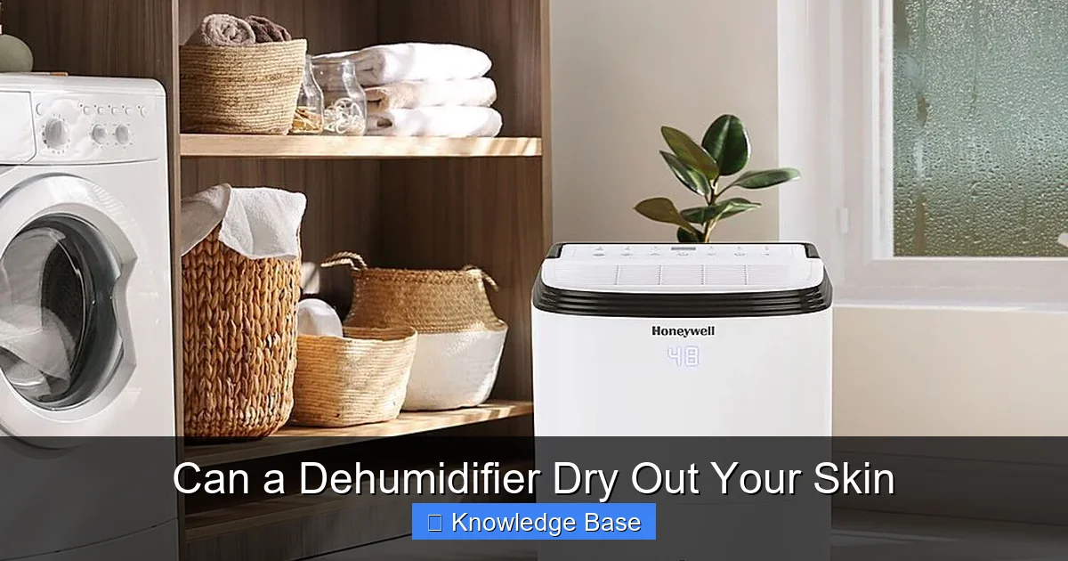 Can a Dehumidifier Dry Out Your Skin