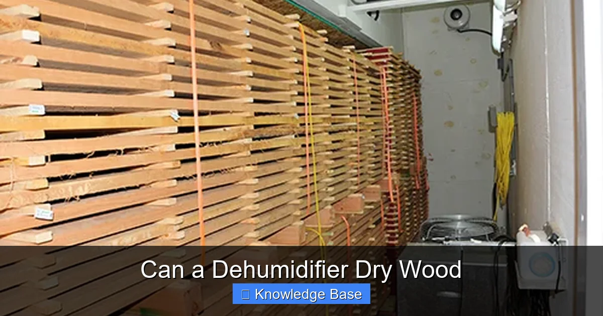 Can a Dehumidifier Dry Wood