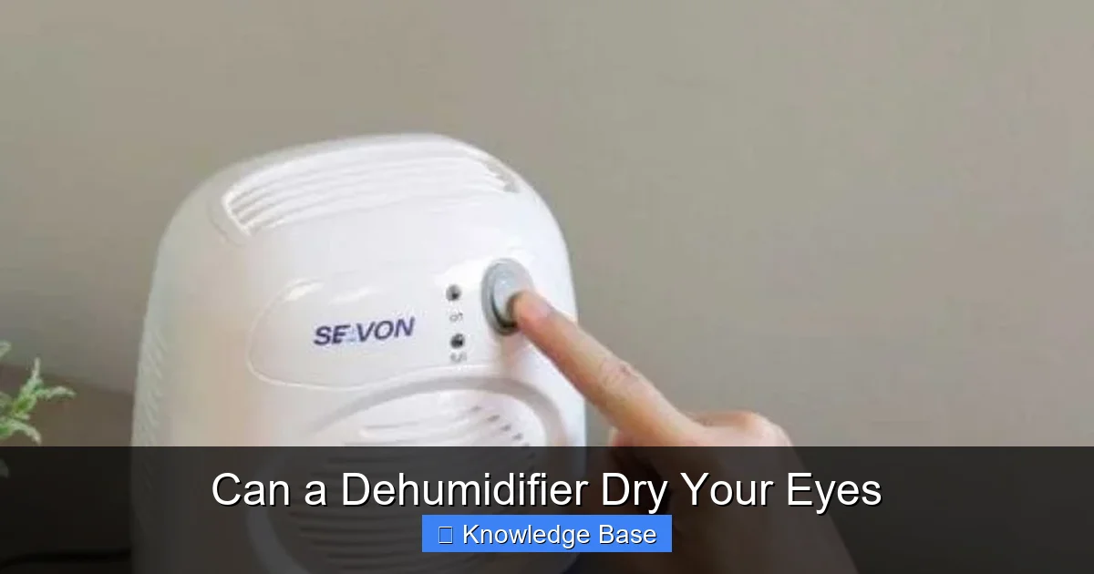 Can a Dehumidifier Dry Your Eyes