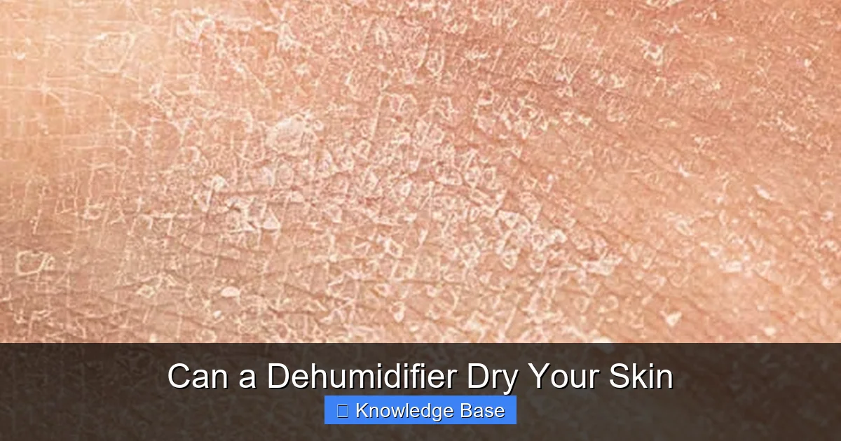 Can a Dehumidifier Dry Your Skin