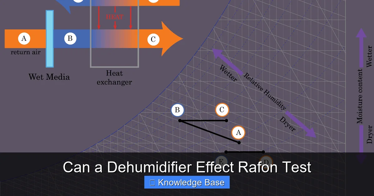 Can a Dehumidifier Effect Rafon Test