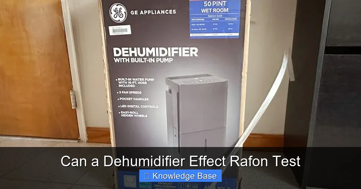 Can a Dehumidifier Effect Rafon Test