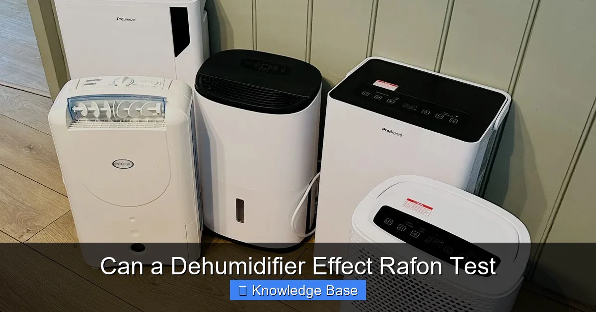 Can a Dehumidifier Effect Rafon Test