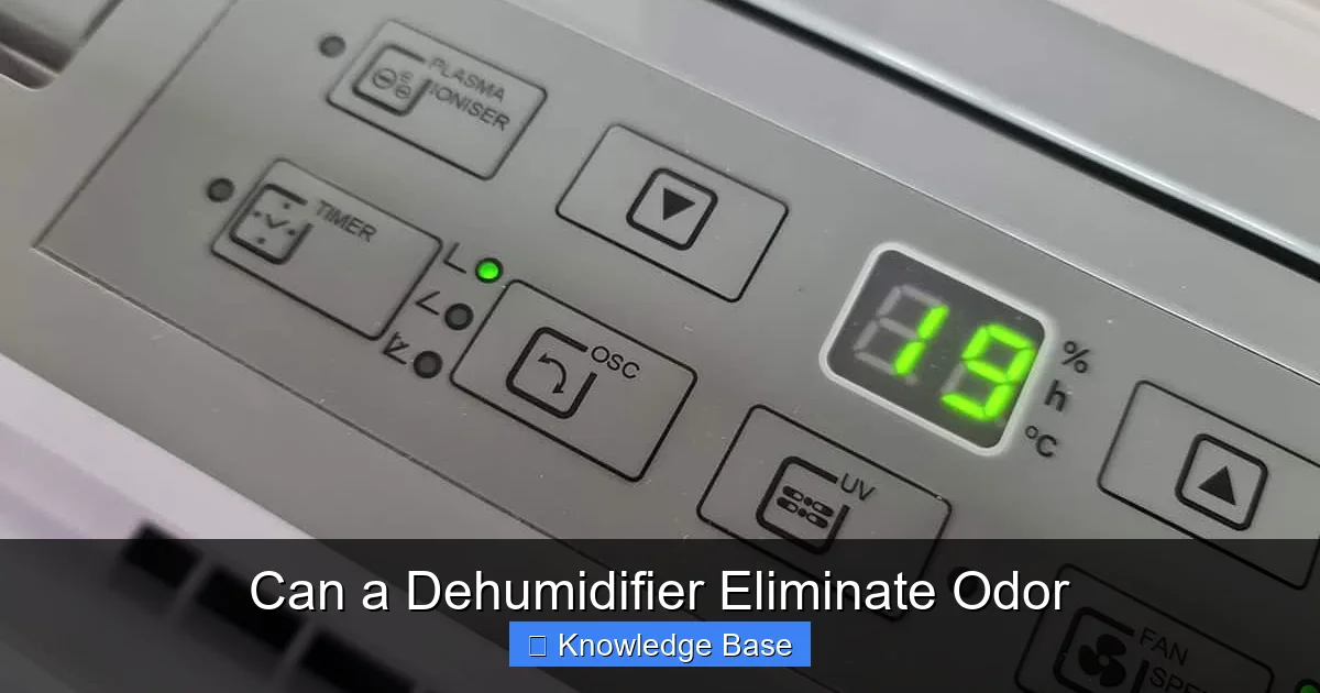 Can a Dehumidifier Eliminate Odor