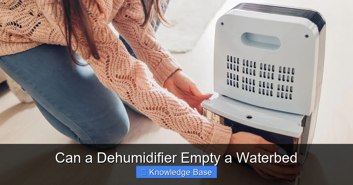 Can a Dehumidifier Empty a Waterbed