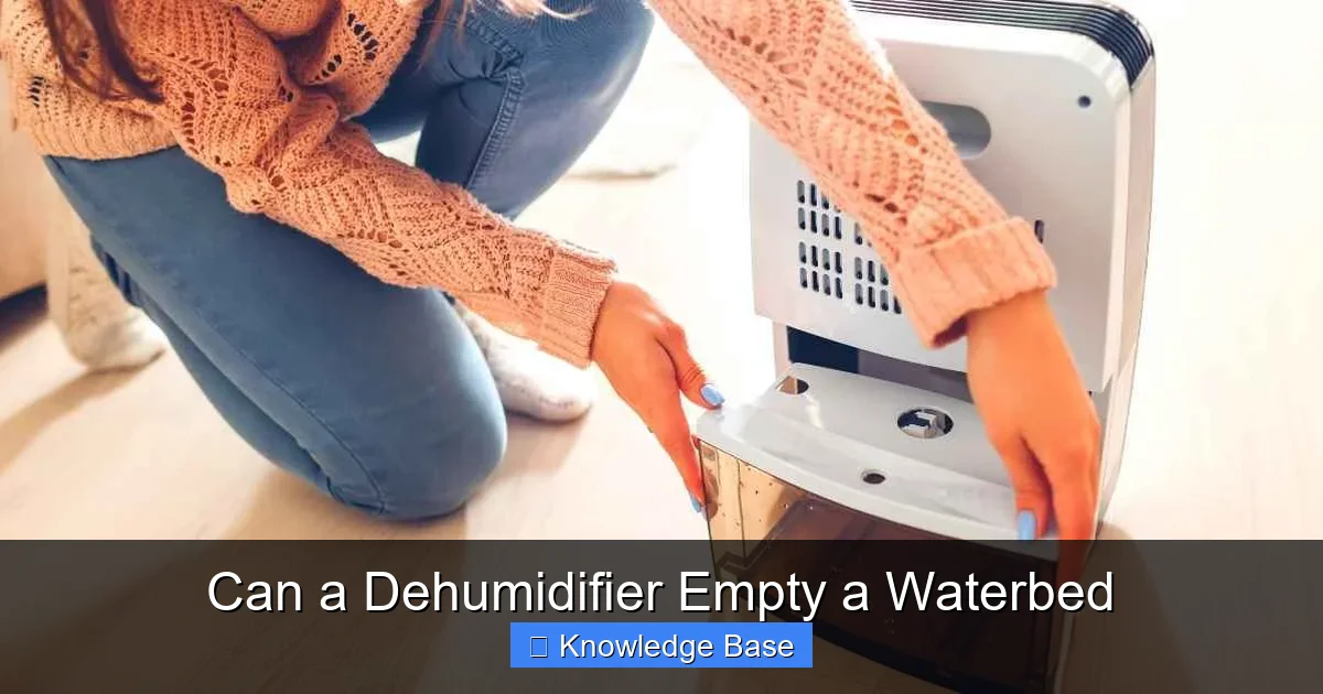 Can a Dehumidifier Empty a Waterbed