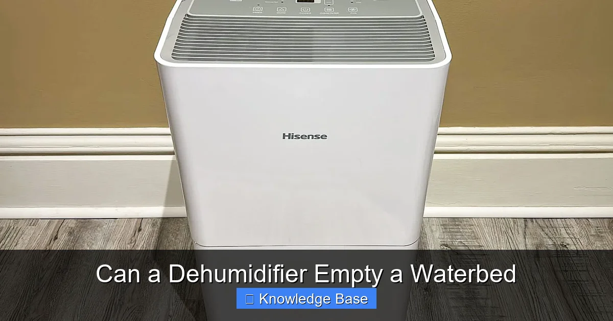 Can a Dehumidifier Empty a Waterbed