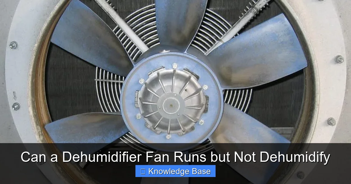 Can a Dehumidifier Fan Runs but Not Dehumidify