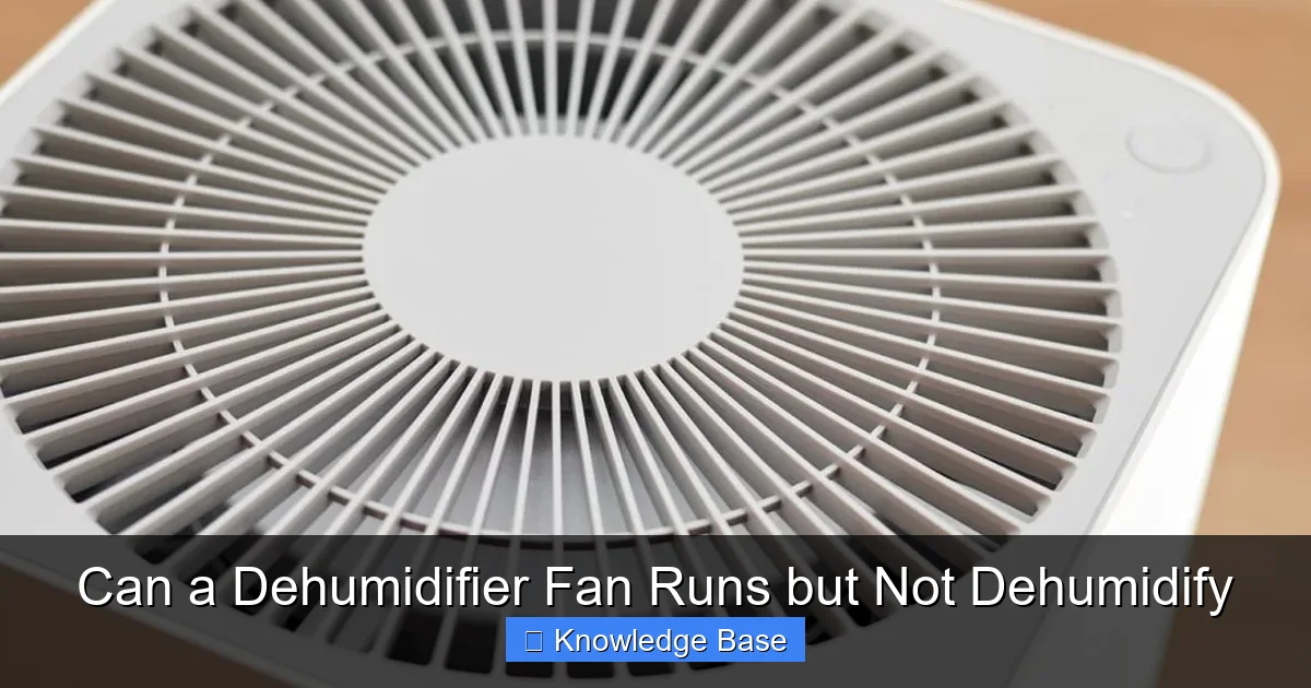 Can a Dehumidifier Fan Runs but Not Dehumidify