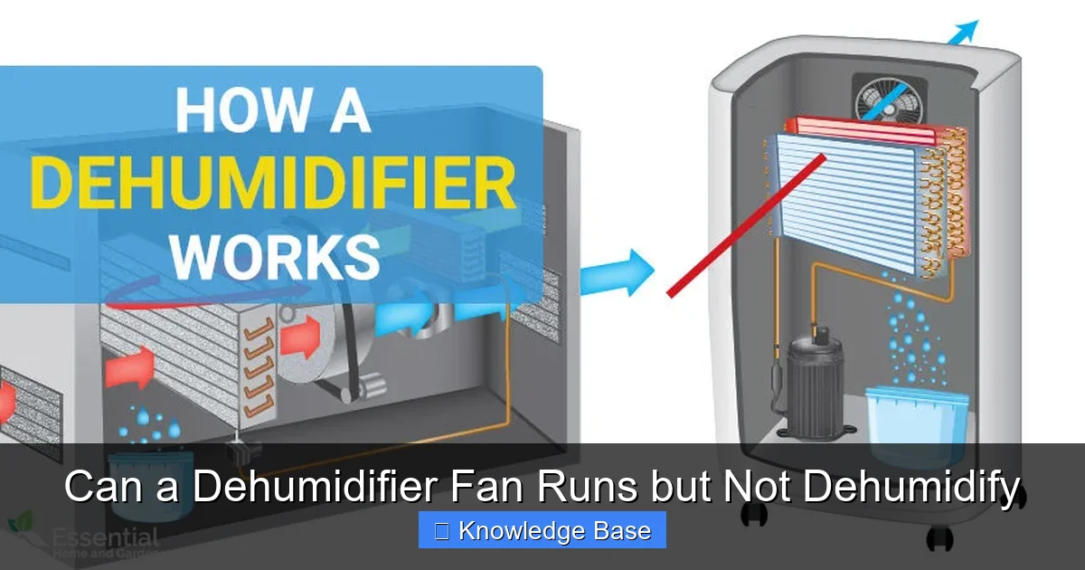 Can a Dehumidifier Fan Runs but Not Dehumidify