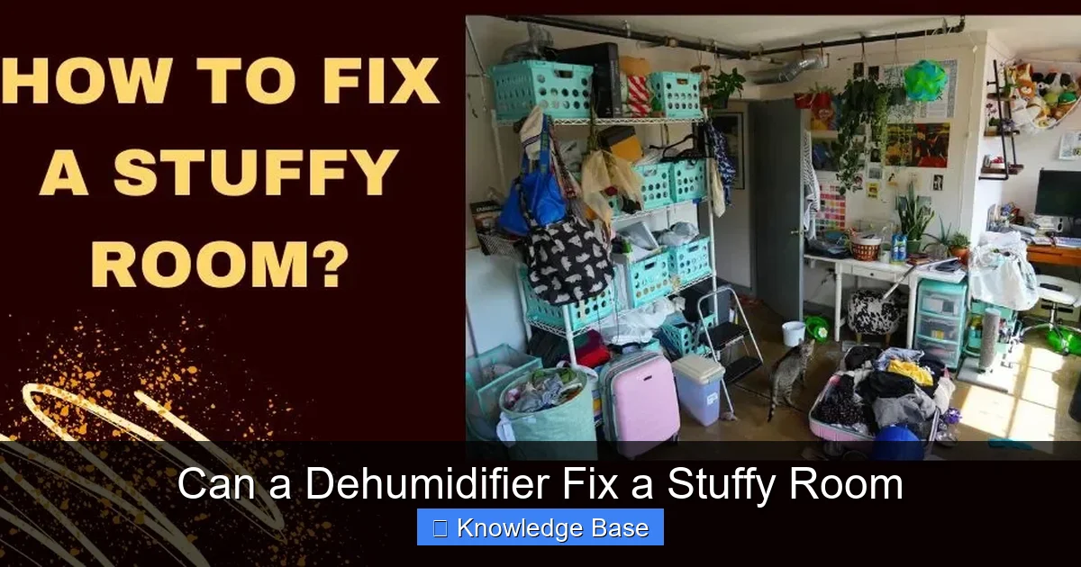Can a Dehumidifier Fix a Stuffy Room