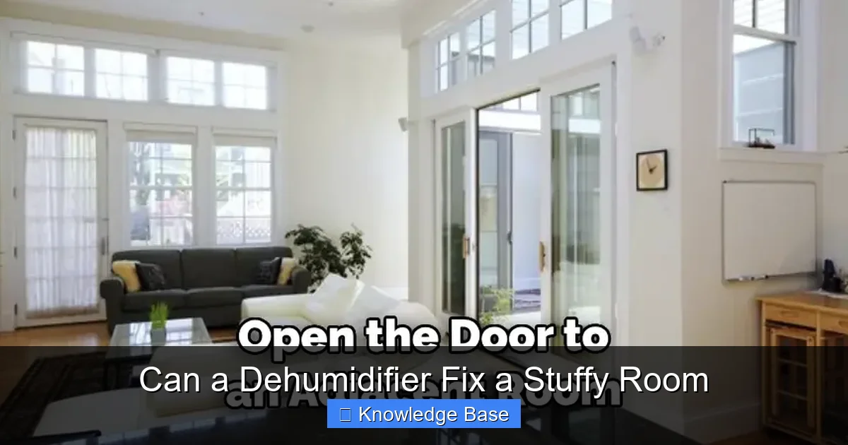 Can a Dehumidifier Fix a Stuffy Room