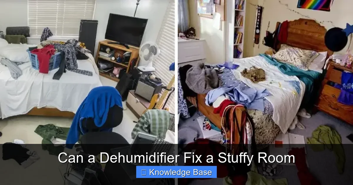 Can a Dehumidifier Fix a Stuffy Room