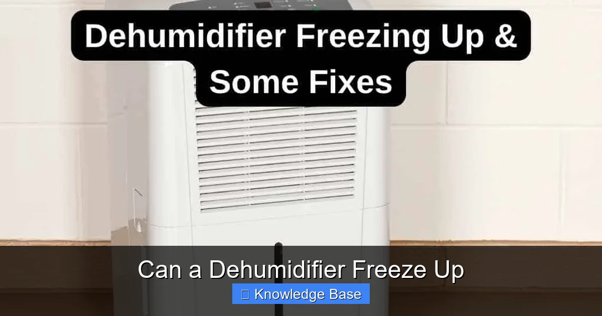 Can a Dehumidifier Freeze Up