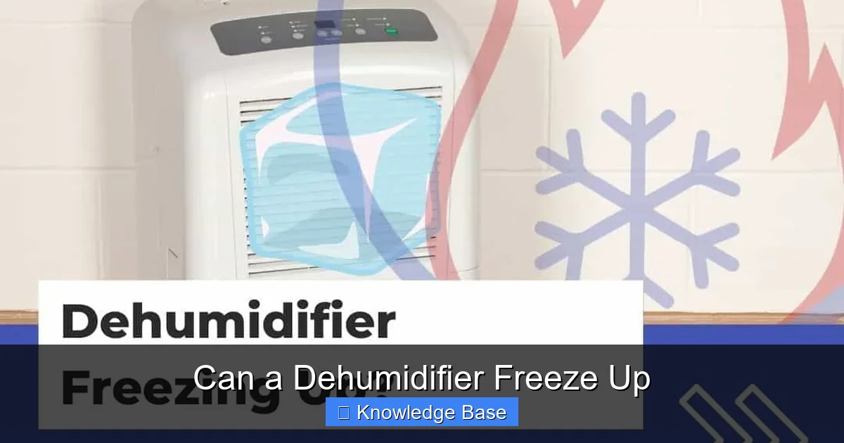 Can a Dehumidifier Freeze Up