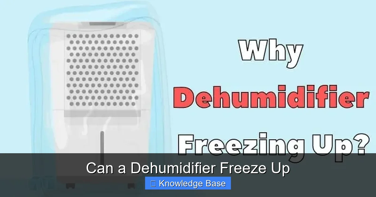 Can a Dehumidifier Freeze Up