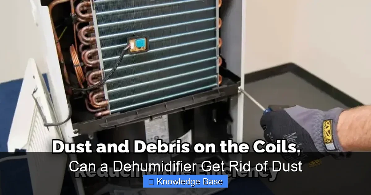 Can a Dehumidifier Get Rid of Dust