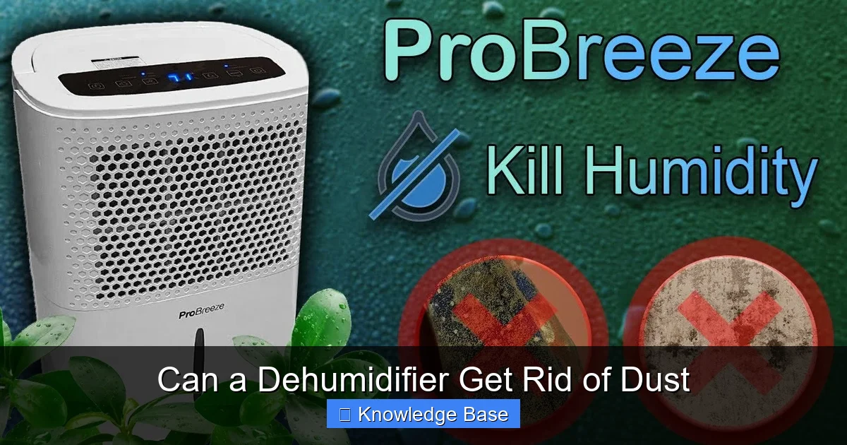 Can a Dehumidifier Get Rid of Dust