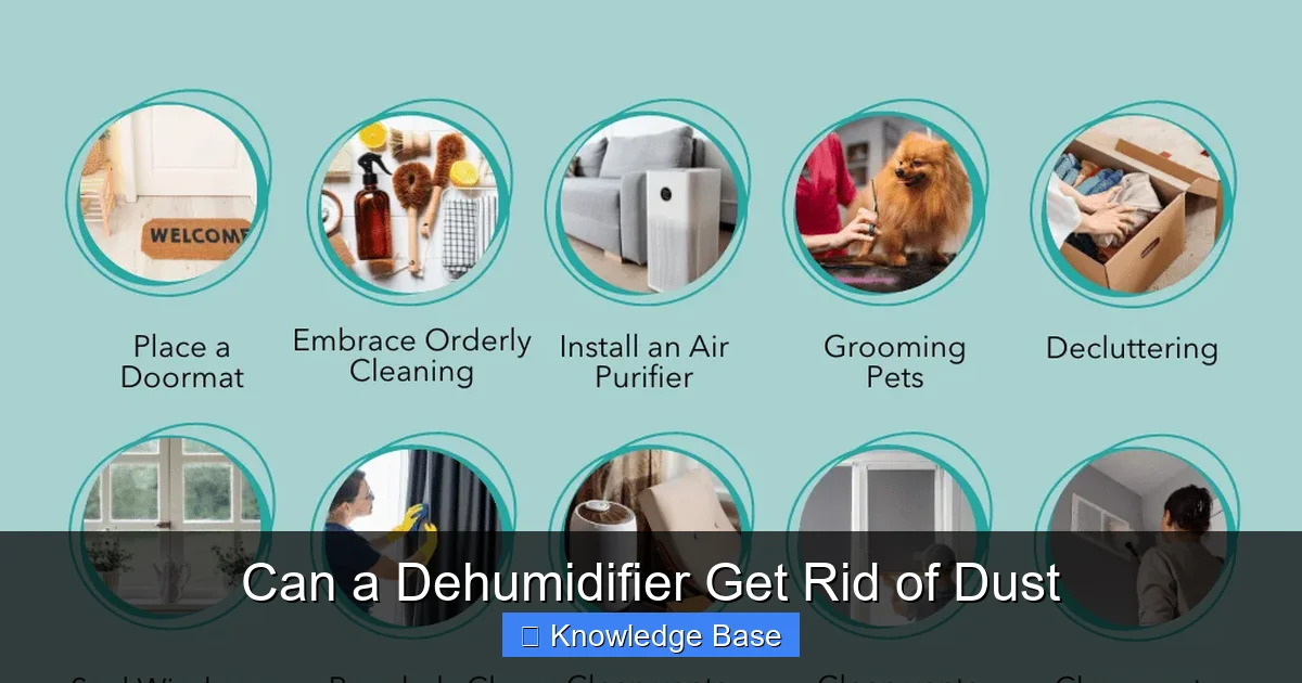 Can a Dehumidifier Get Rid of Dust