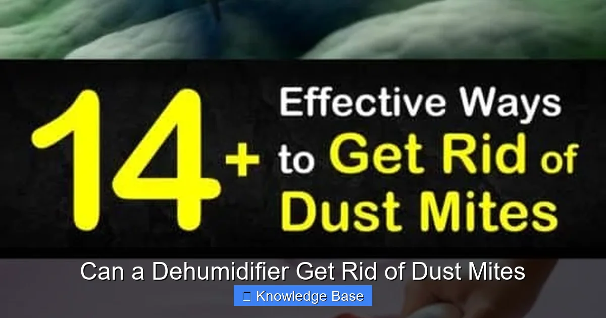 Can a Dehumidifier Get Rid of Dust Mites