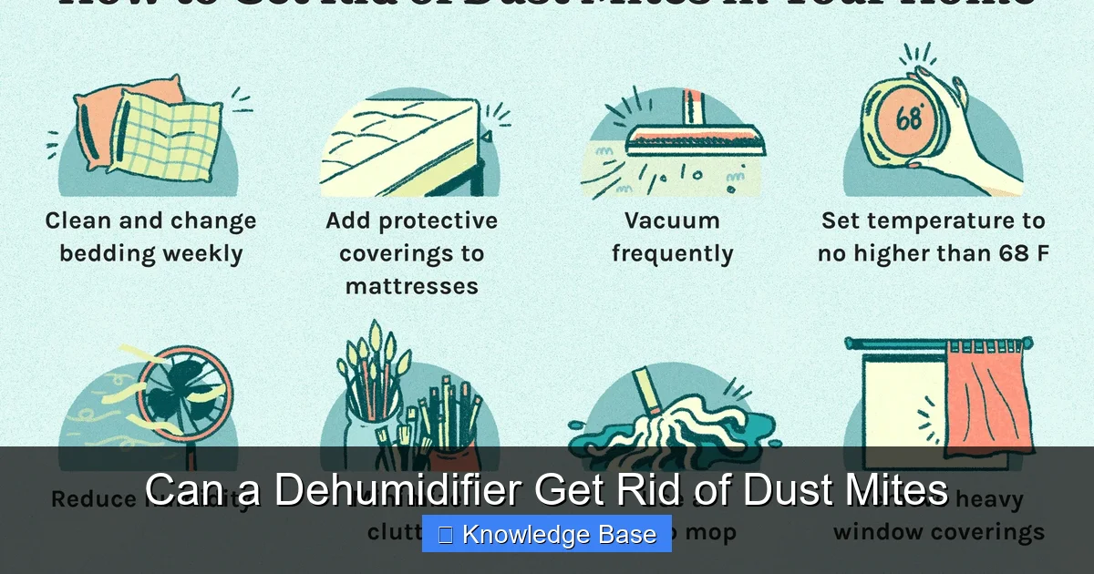 Can a Dehumidifier Get Rid of Dust Mites