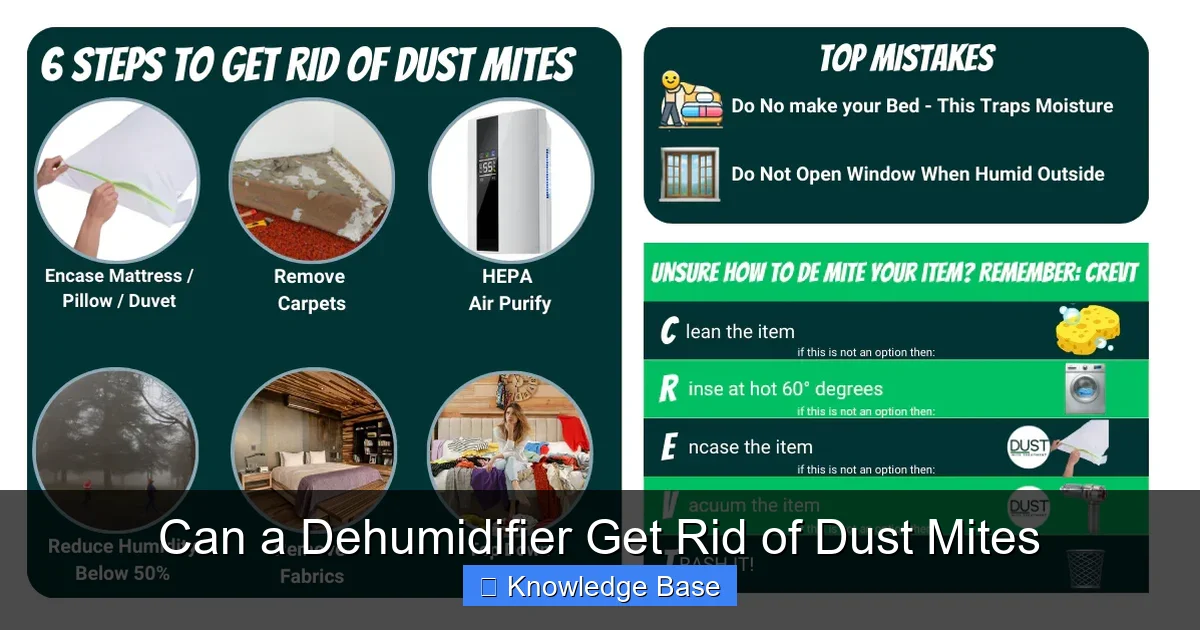 Can a Dehumidifier Get Rid of Dust Mites